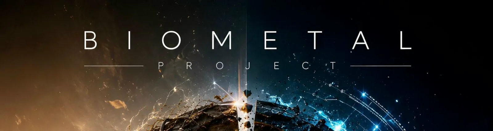 Фото исполнителя Biometal project