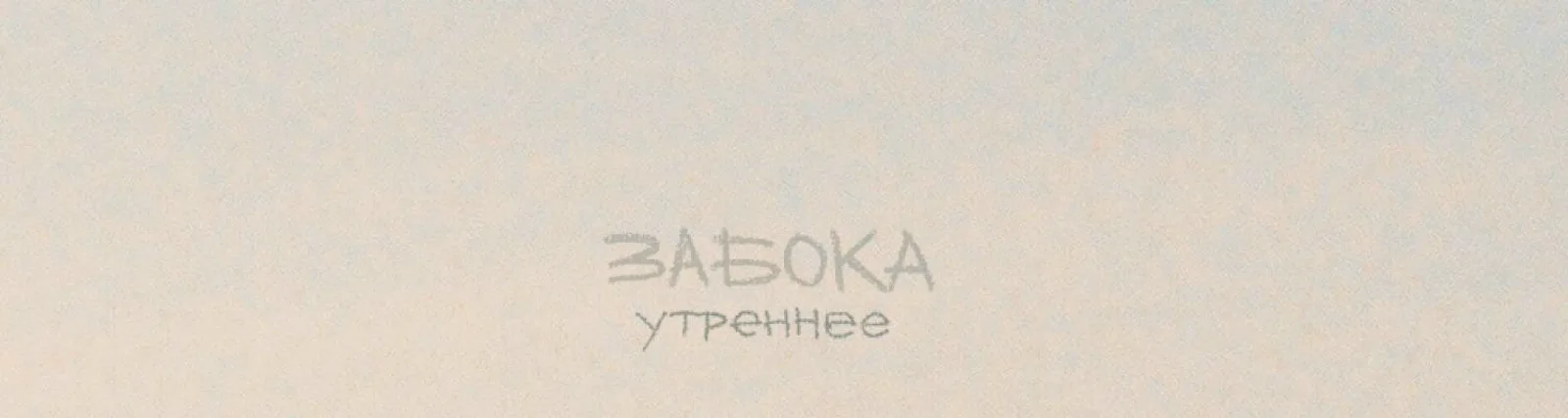 Фото исполнителя забока