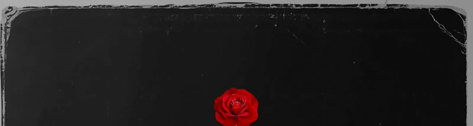 Фото исполнителя Mairi