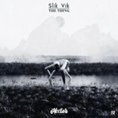 Slik Vik
