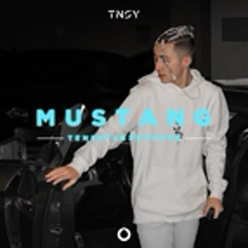 Фото исполнителя Tensey