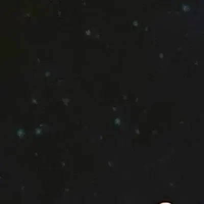 Эко