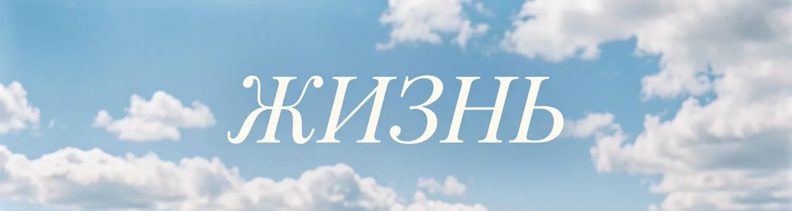 Кот