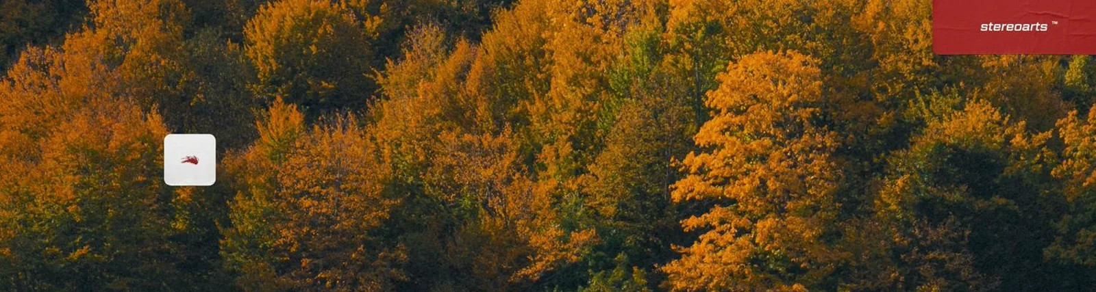 Фото исполнителя Joseph Haydn