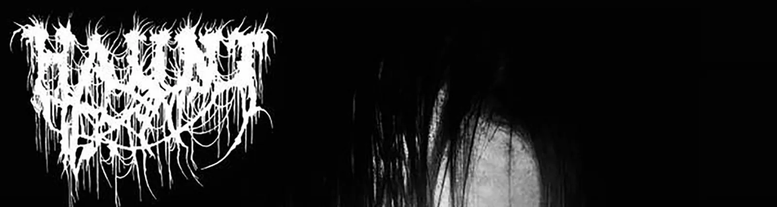 Фото исполнителя HAUNT