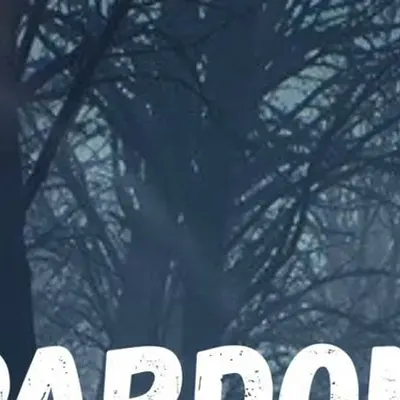 Bespardonnyi