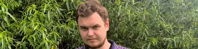зубы:)