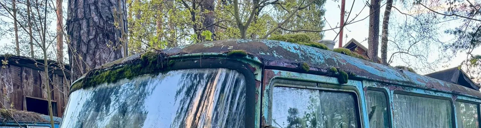 Фото исполнителя Счастл