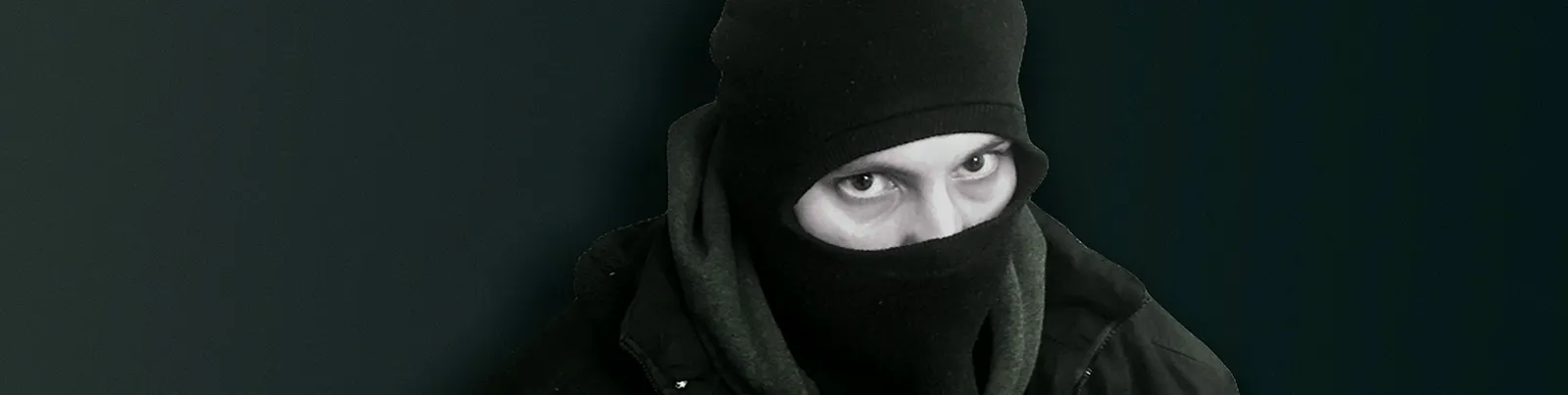 Фото исполнителя Cris Vandal