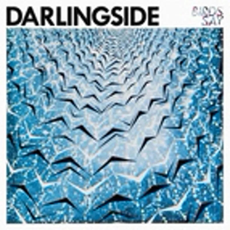 Фото исполнителя Darlingside