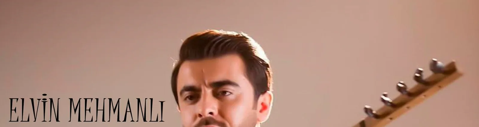 Elvin Mehmanlı