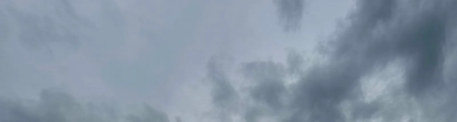 Ваня Сквот