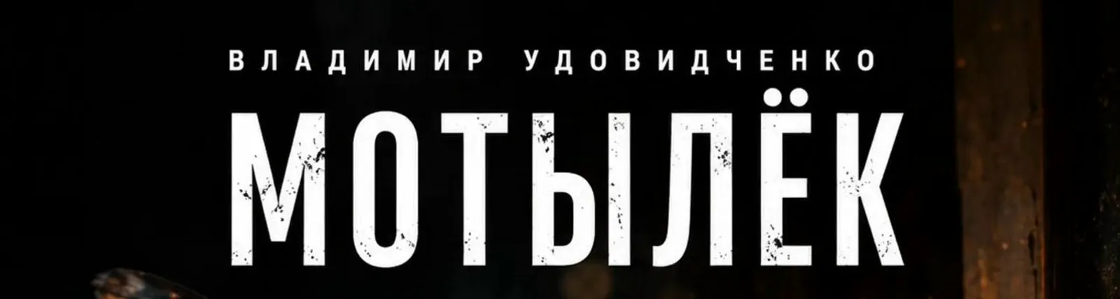 Фото исполнителя Владимир Удовидченко