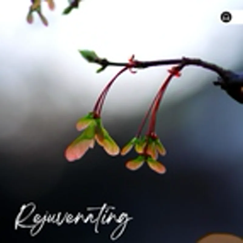 Фото исполнителя Outside Broadcast Recordings