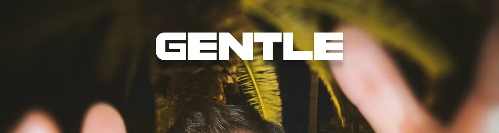 Фото исполнителя Gentle