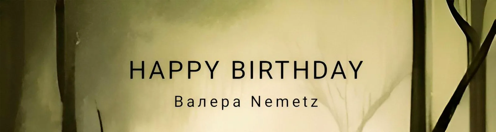 Валера Nemetz