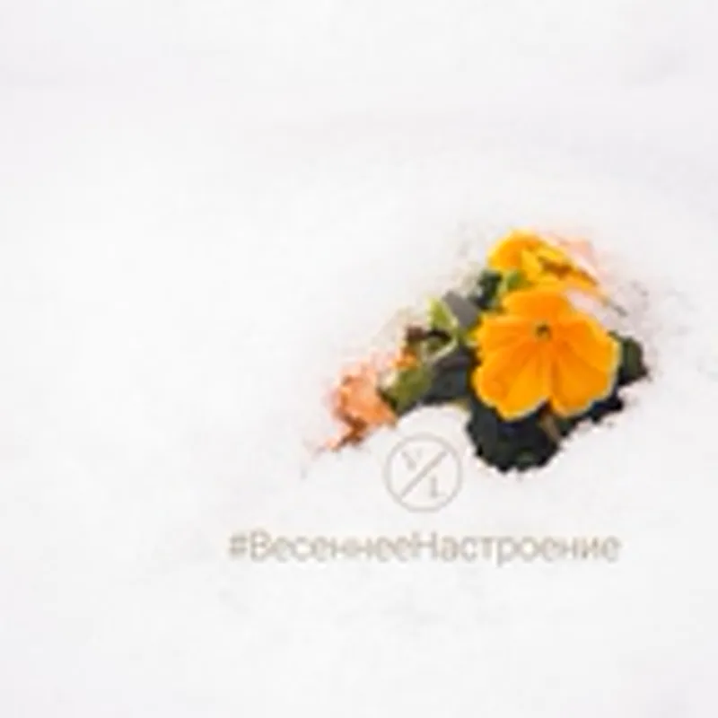 Фото исполнителя #горизонты