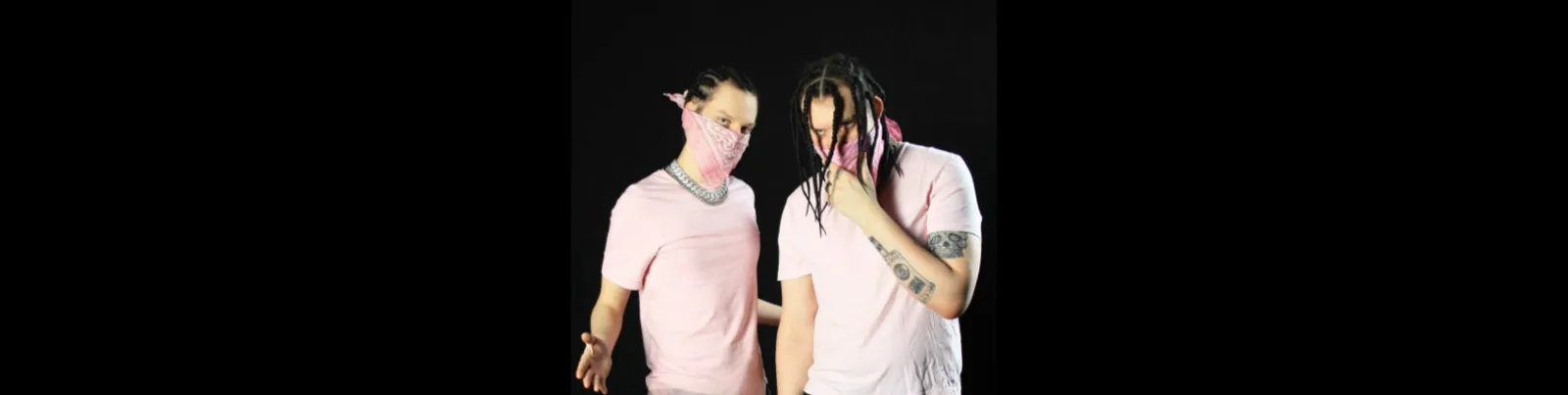 Фото исполнителя Pink Bando