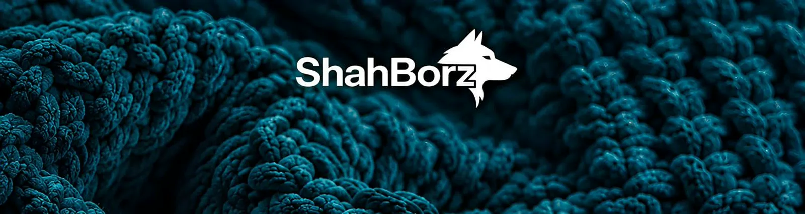 Фото исполнителя ShahBorz