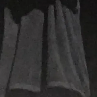 shelovesicy