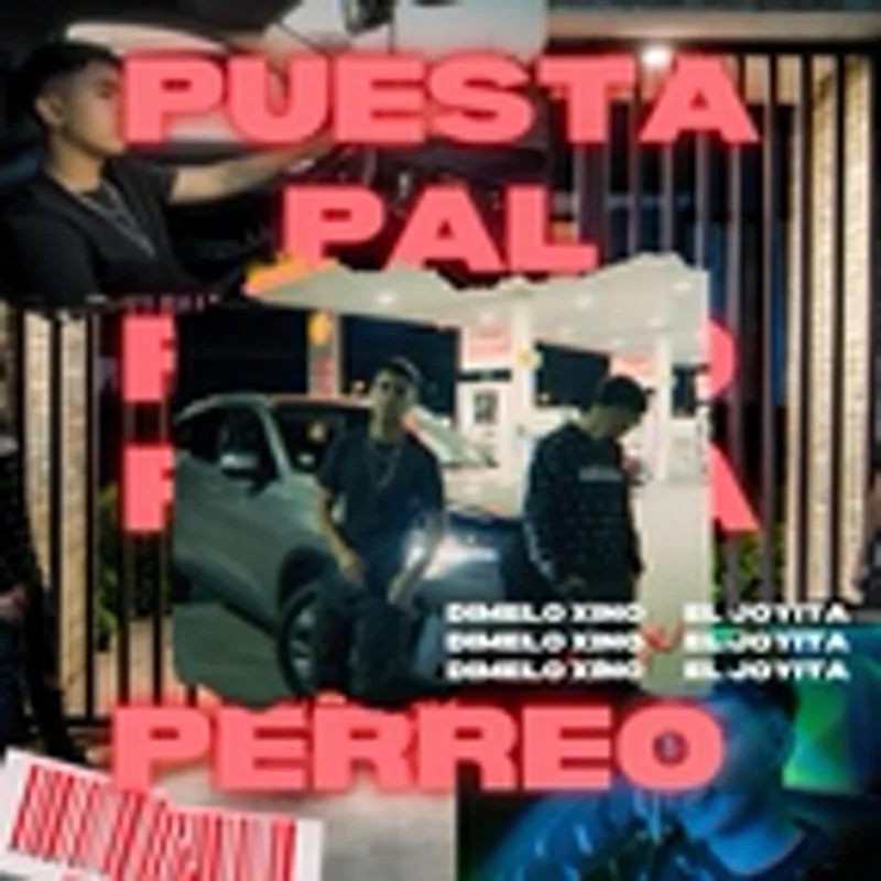 Dimelo xino