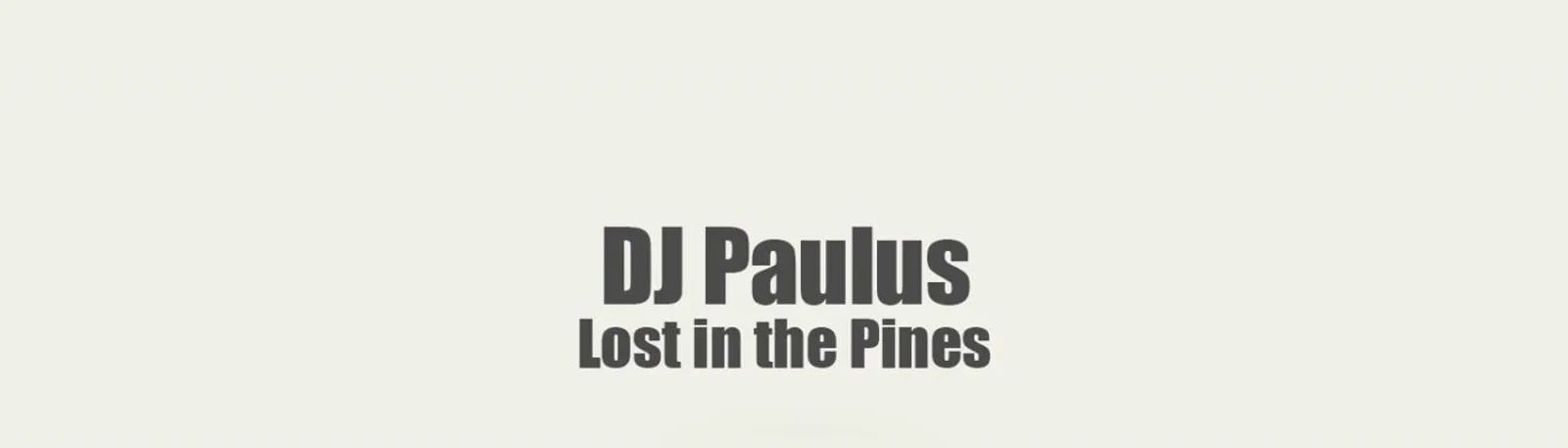 Фото исполнителя DJ Paulus