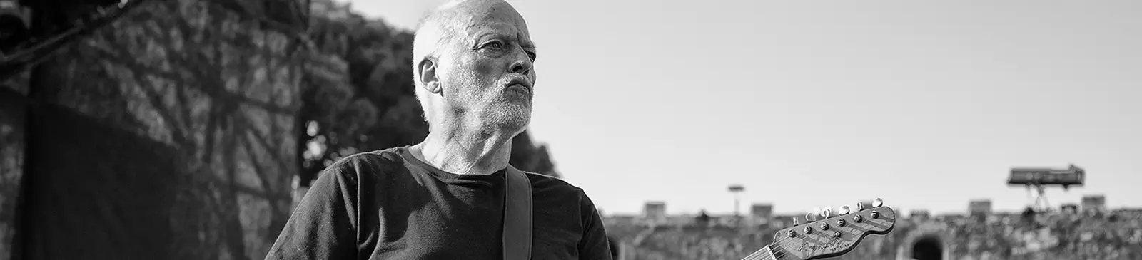 Фото исполнителя David Gilmour