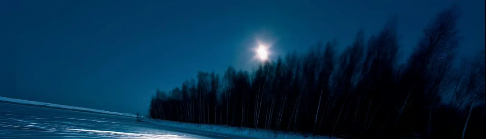 Фото исполнителя Taly