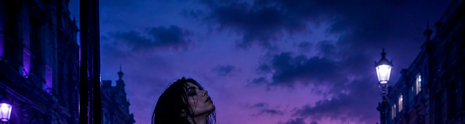 Фото исполнителя VESNA NOIR