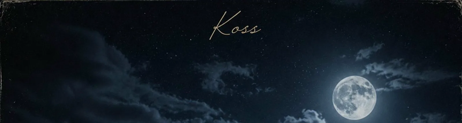 Фото исполнителя Koss