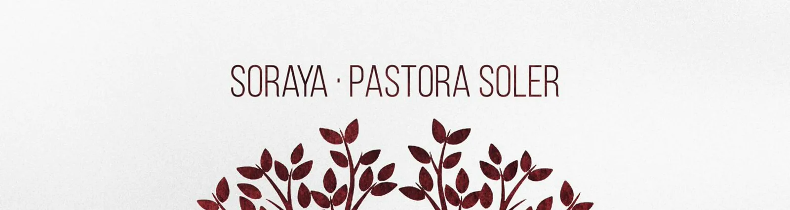 Фото исполнителя Pastora Soler