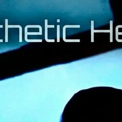 Synthetic Heads