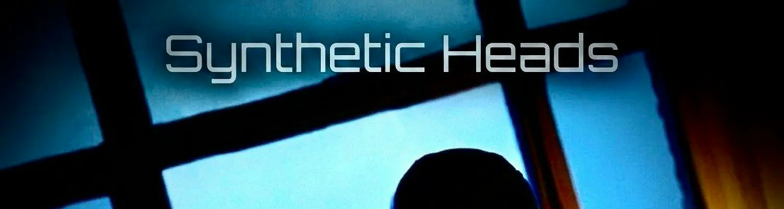 Фото исполнителя Synthetic Heads