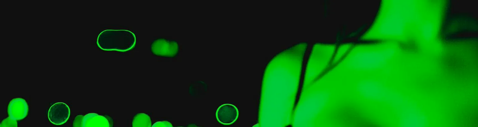 Фото исполнителя Saint Ouens