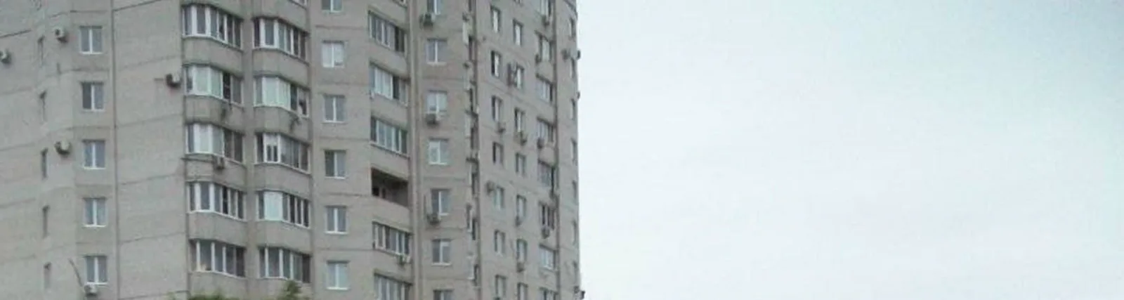 курячий дошик
