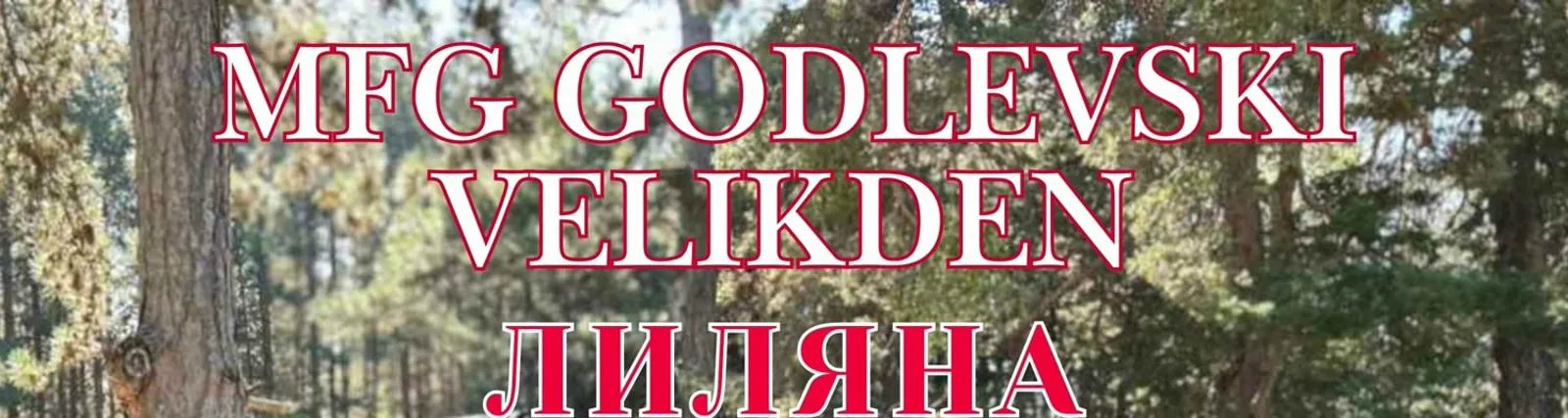 Фото исполнителя MFG Godlevski Velikden
