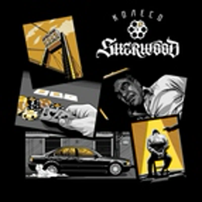 Фото исполнителя Sherwood