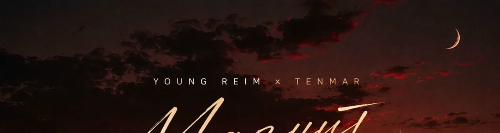 Фото исполнителя Young reim