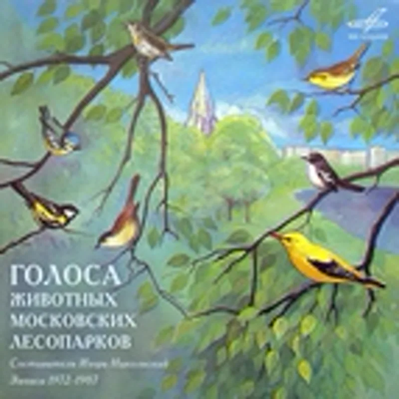 Фото исполнителя Turdus pilaris