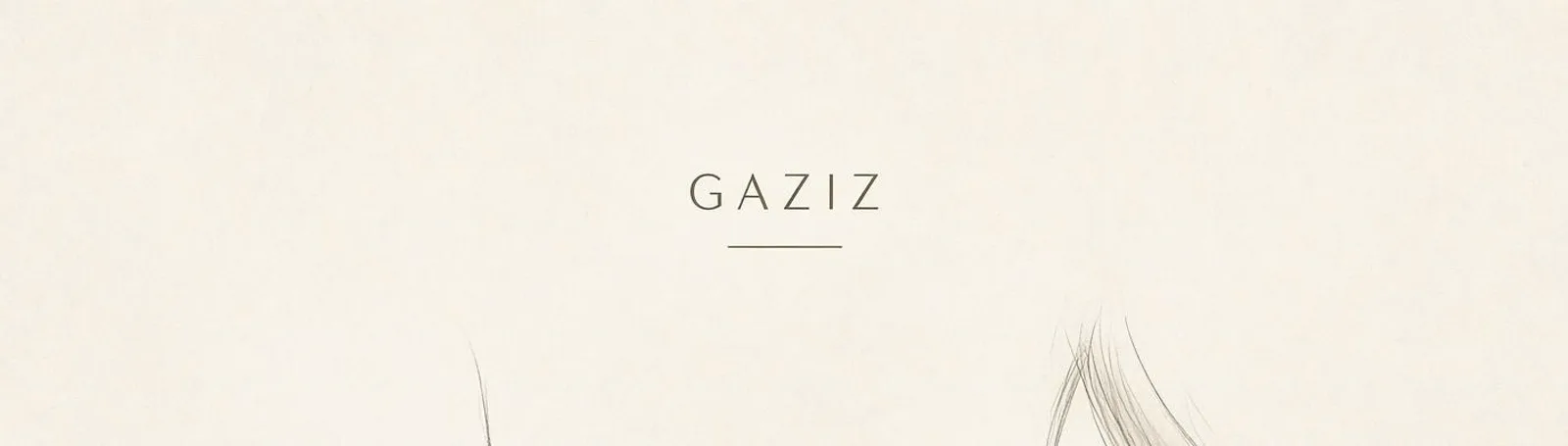 Фото исполнителя GAZIZ