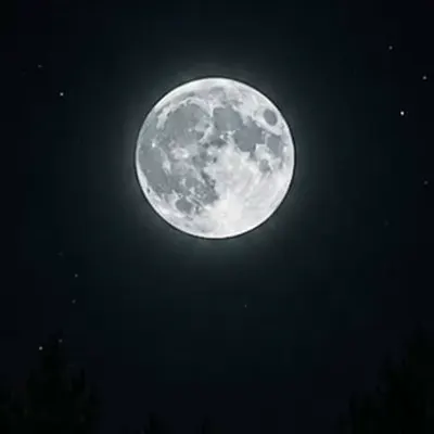 Файз