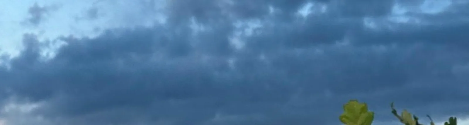 Большой друг