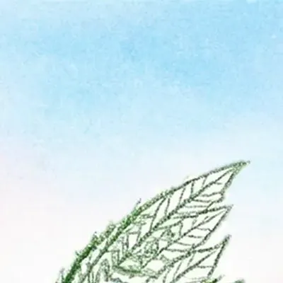 Subin