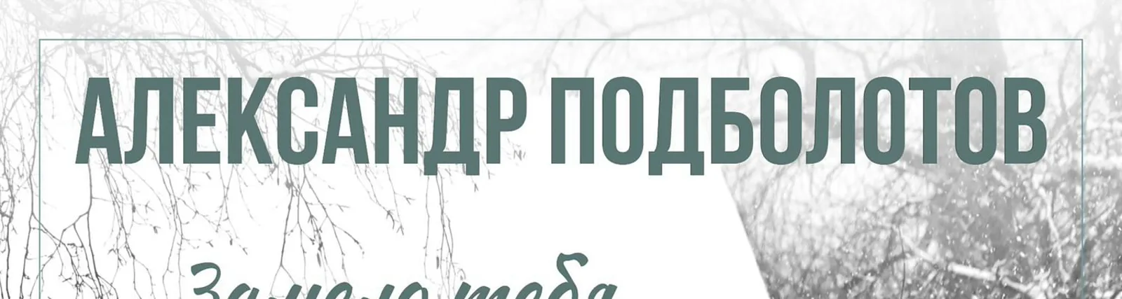 Фото исполнителя Александр Подболотов
