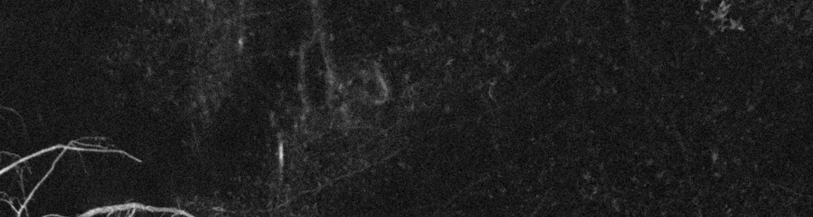 Фото исполнителя lucs6x