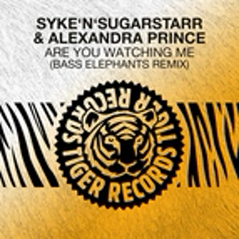Фото исполнителя Syke'N'Sugarstarr