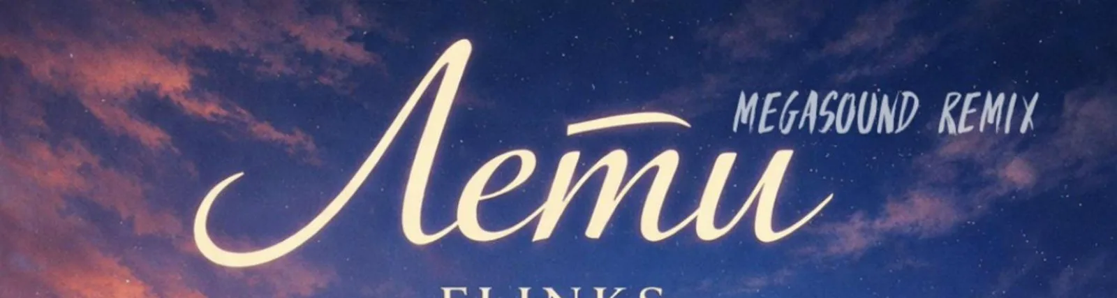 Фото исполнителя FLINKS