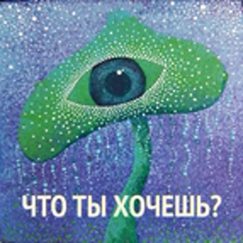 Фото исполнителя Lolita Kox