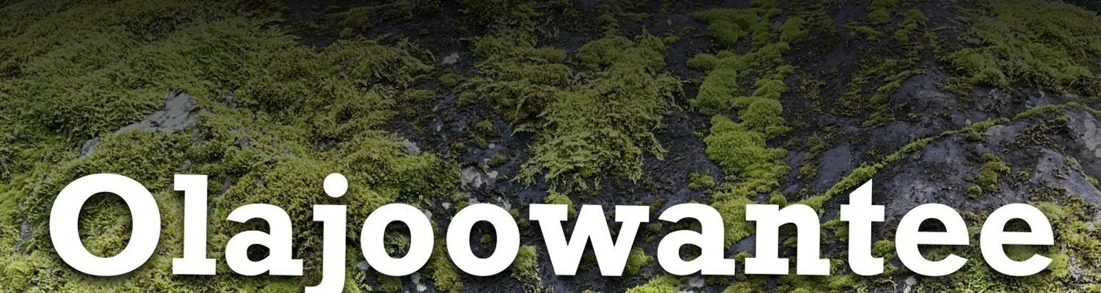 Фото исполнителя Olajoowantee