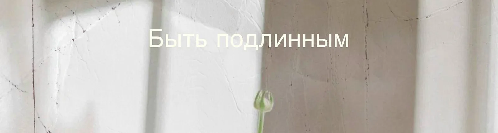 Фото исполнителя RODNAYA